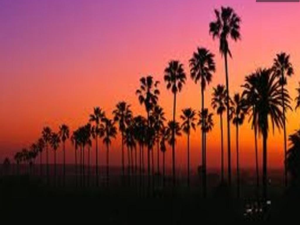 Boutique 444 Venice Beach Лос-Анджелес Экстерьер фото